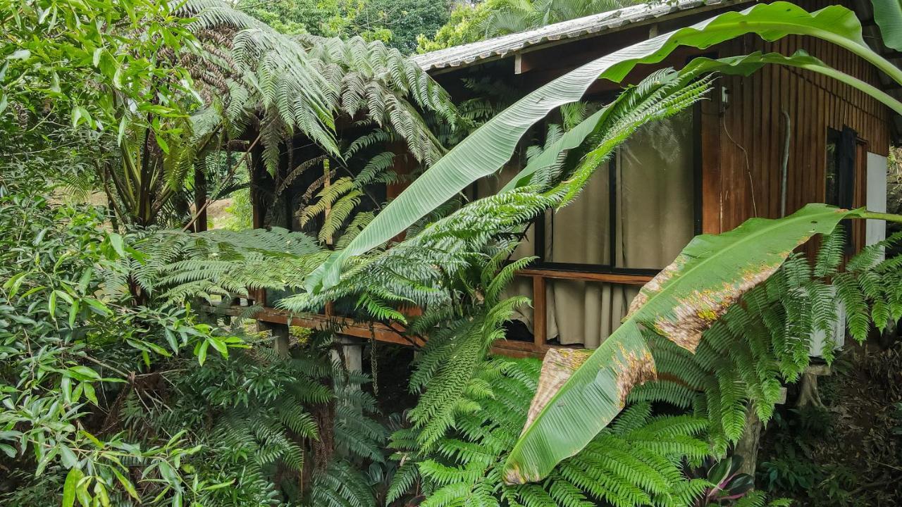 Cabanas Del Lago La Fortuna Exteriör bild