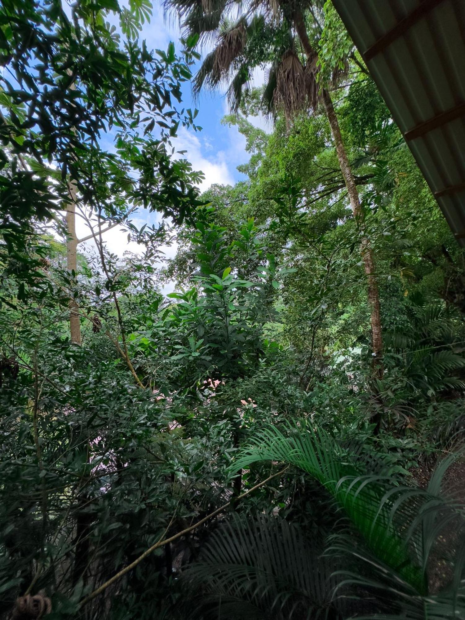 Cabanas Del Lago La Fortuna Exteriör bild