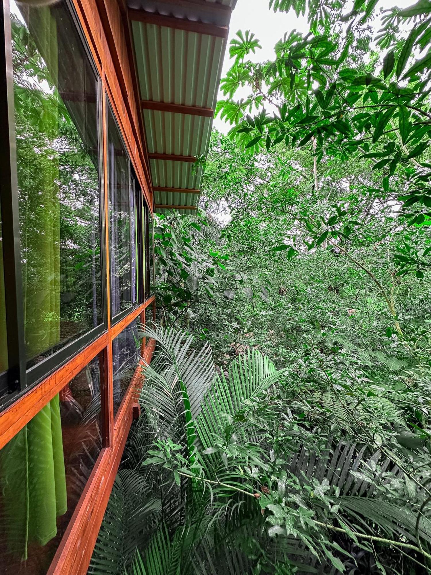 Cabanas Del Lago La Fortuna Exteriör bild