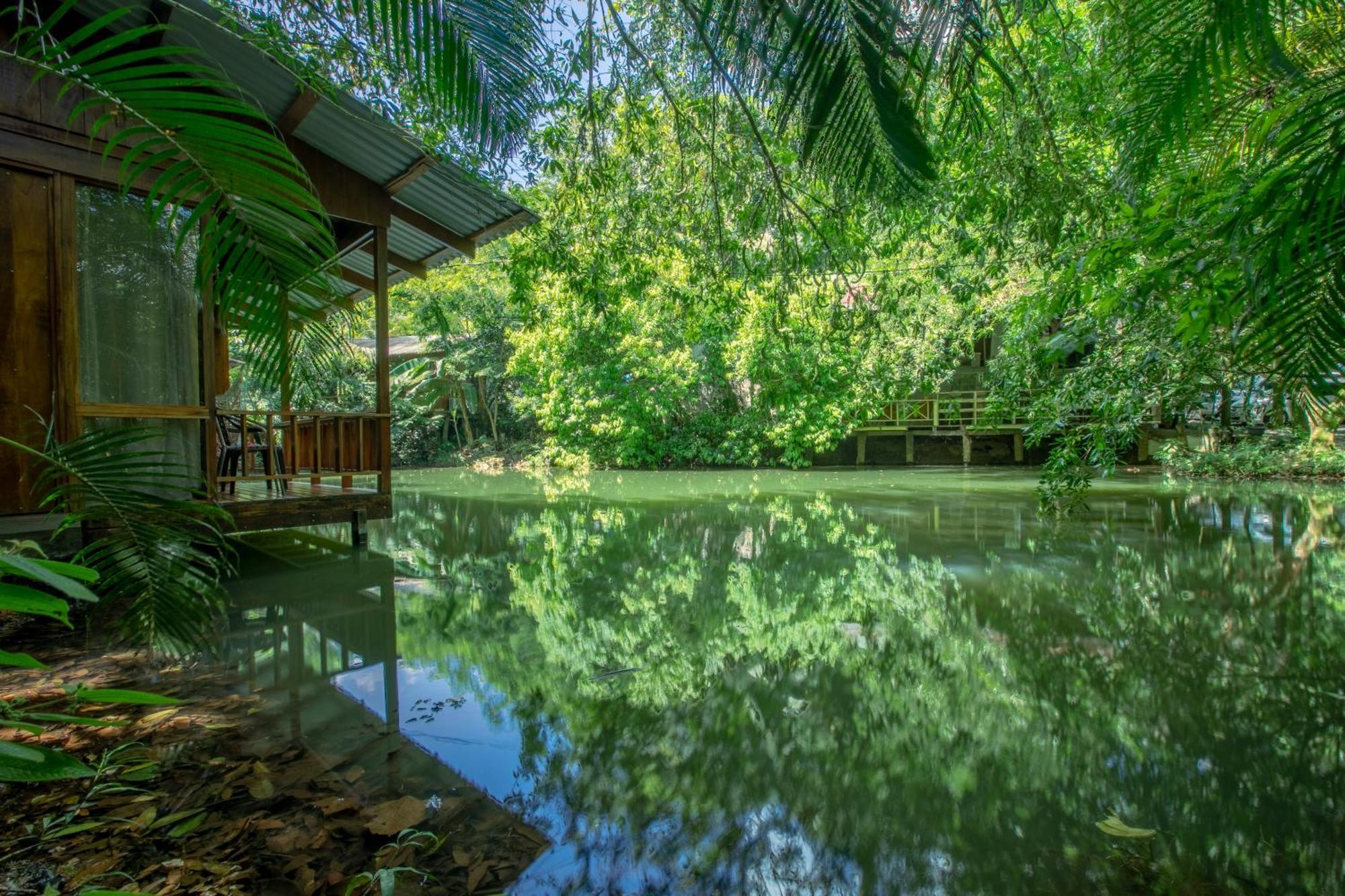 Cabanas Del Lago La Fortuna Exteriör bild